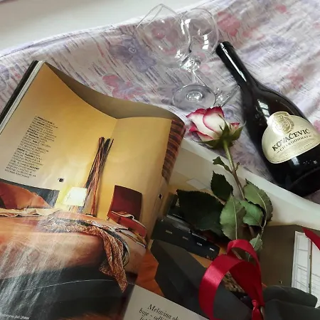 17 Apartment Belgrade